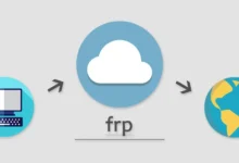 DDNSTO内网穿透工具-二进制探索